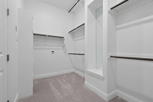 walk in closet featuring carpet