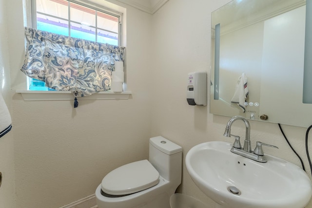 bathroom featuring toilet and sink