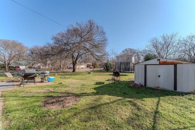 view of yard with a shed