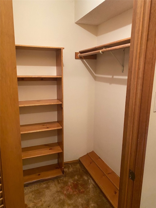 view of walk in closet