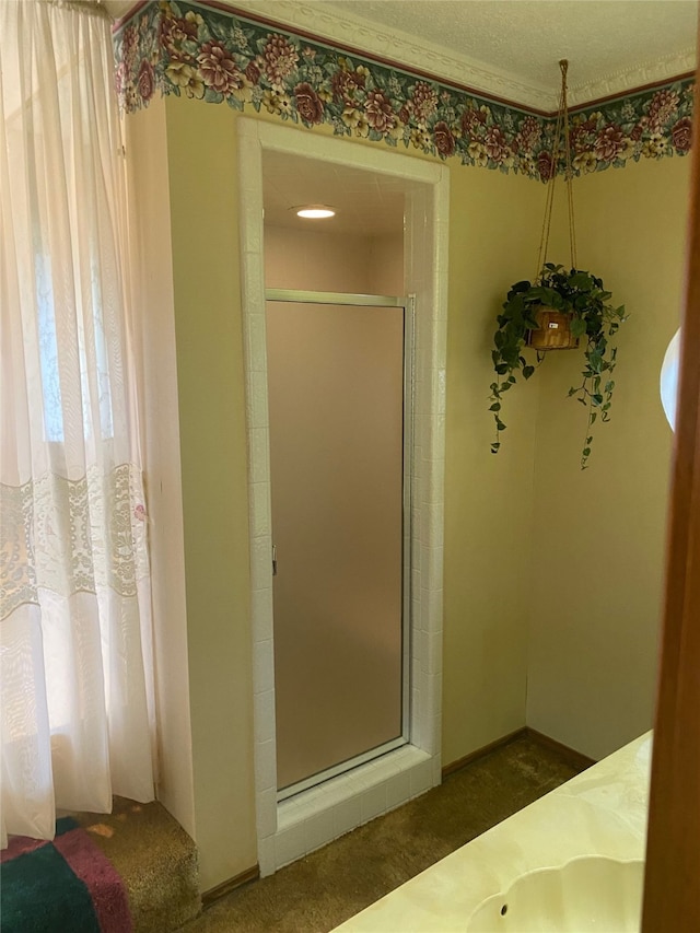 bathroom featuring a shower with door