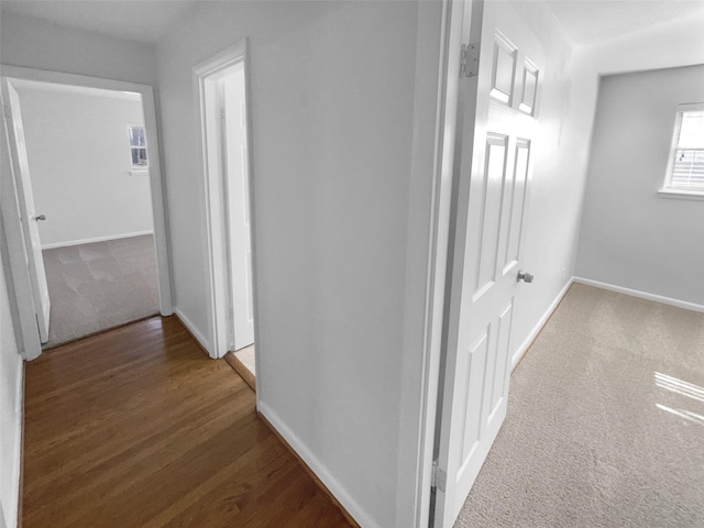 hall with dark hardwood / wood-style floors