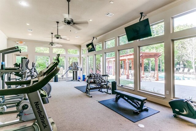 exercise area with crown molding and carpet floors