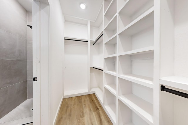 walk in closet featuring light hardwood / wood-style floors