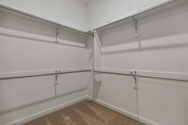 walk in closet featuring carpet flooring