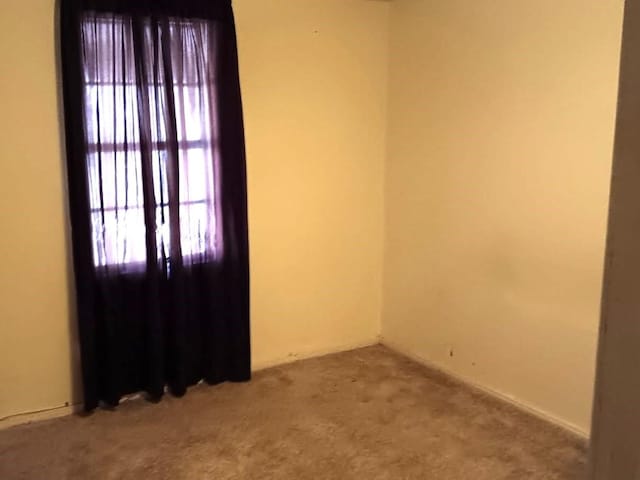 unfurnished room featuring light colored carpet