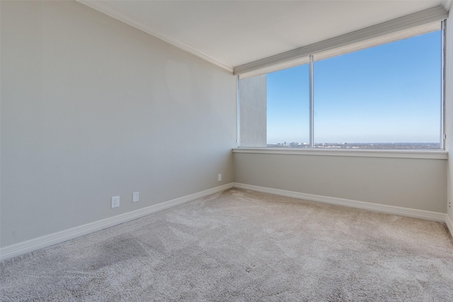 carpeted spare room with ornamental molding