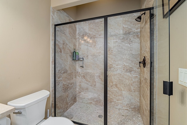 bathroom with a stall shower and toilet