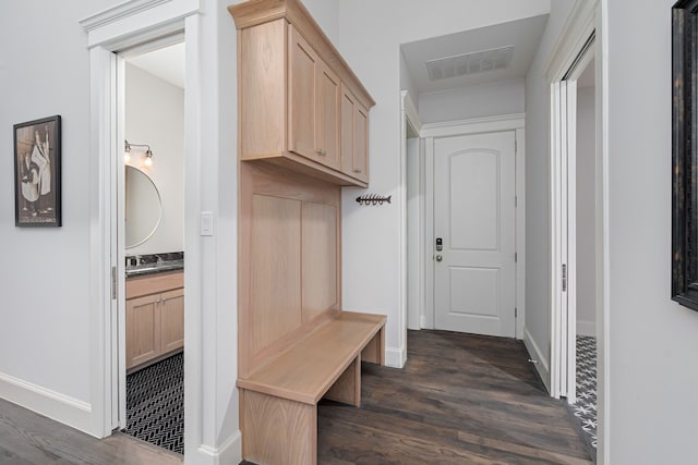 mudroom featuring dark wood-type flooring