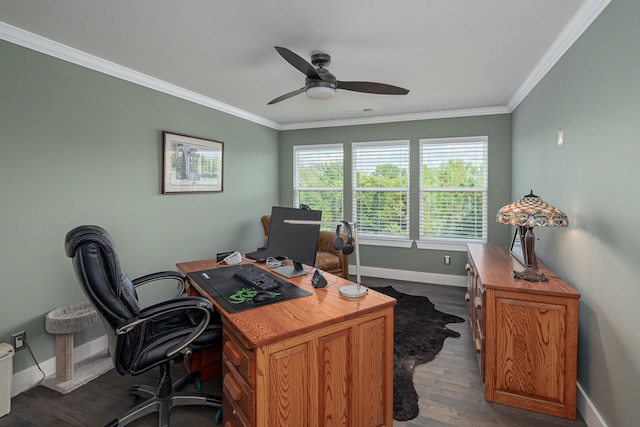 office featuring ornamental molding, dark wood-type flooring, and ceiling fan