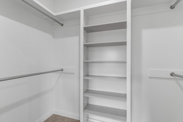 walk in closet with carpet floors