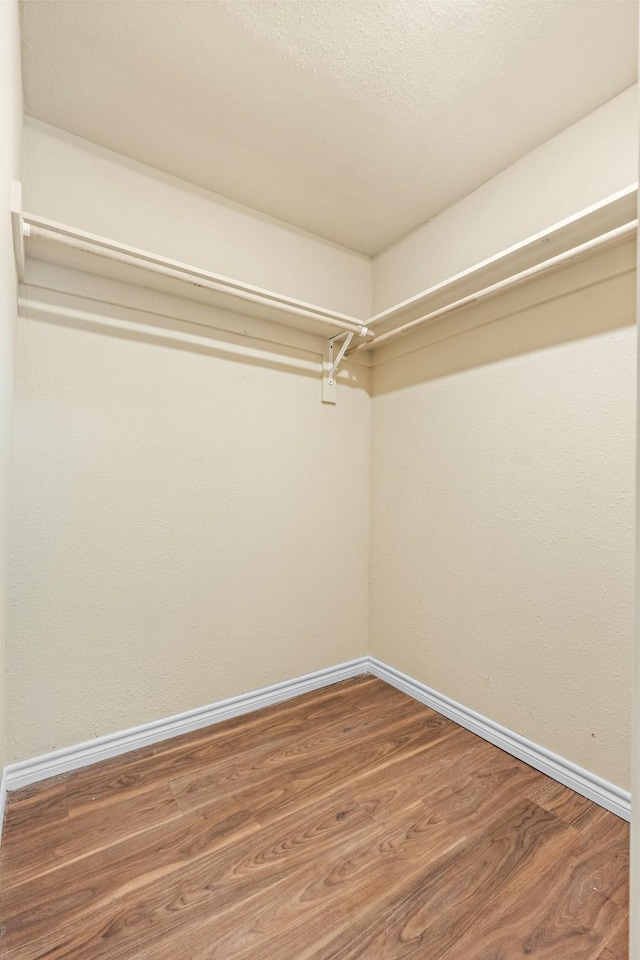 walk in closet with hardwood / wood-style flooring