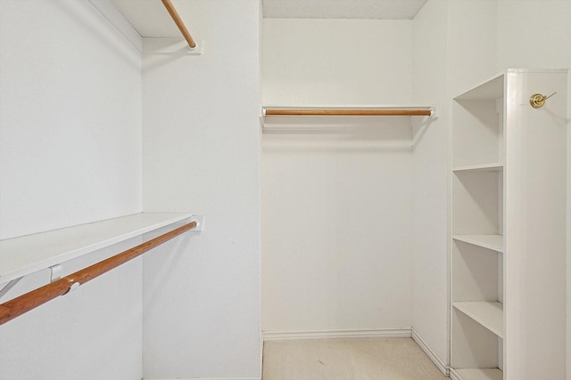 spacious closet featuring light colored carpet