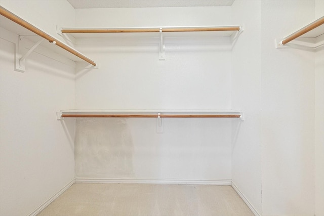 spacious closet featuring light carpet