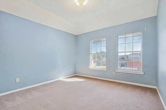 empty room featuring carpet floors and a textured ceiling