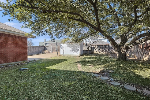 view of yard with a shed