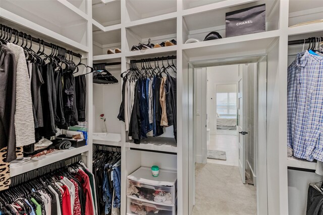 spacious closet featuring carpet floors