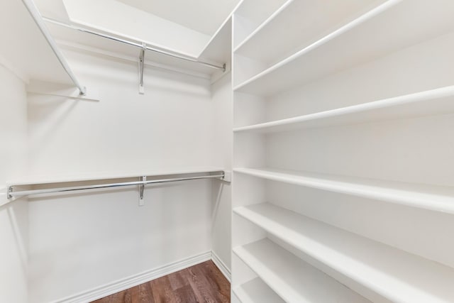 spacious closet with dark hardwood / wood-style flooring