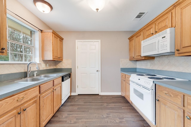 kitchen featuring tasteful backsplash, dark hardwood / wood-style flooring, sink, and white appliances