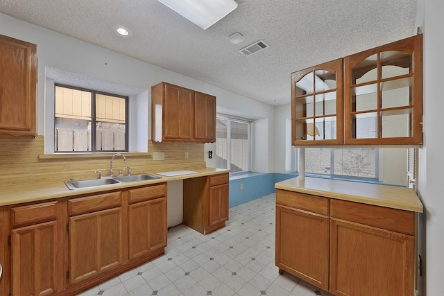 kitchen featuring plenty of natural light, sink, decorative backsplash, and a textured ceiling