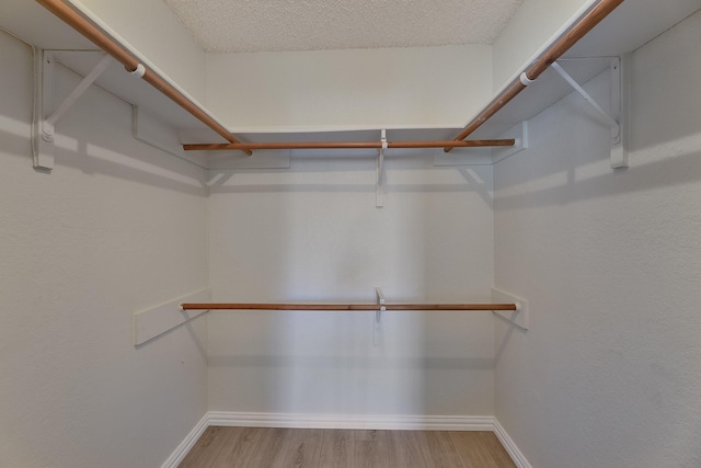 spacious closet with light hardwood / wood-style floors