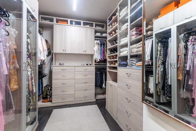 walk in closet featuring dark hardwood / wood-style flooring