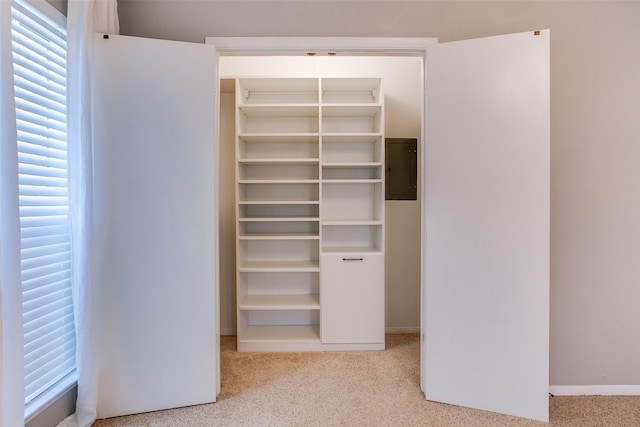 closet featuring electric panel