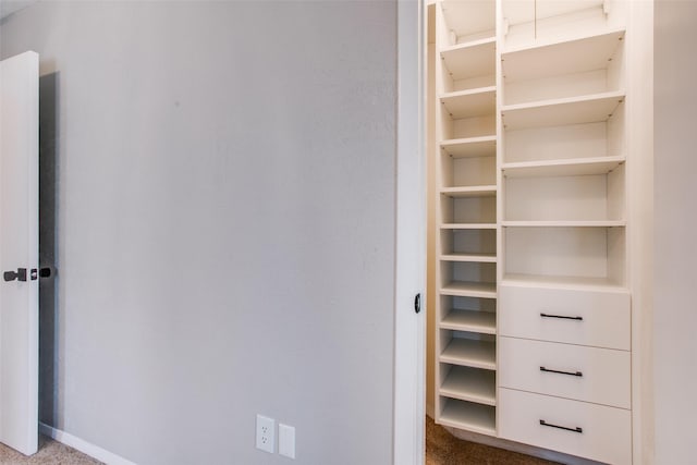 view of closet