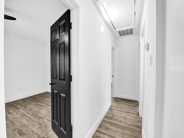 walk in closet featuring hardwood / wood-style floors