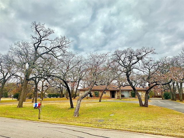 view of front of house with driveway and a front lawn