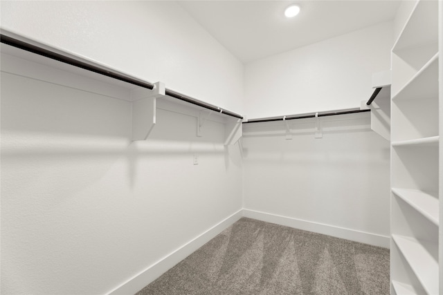 7221 Ladybug, Little Elm, TX 76227 - walk in closet featuring carpet