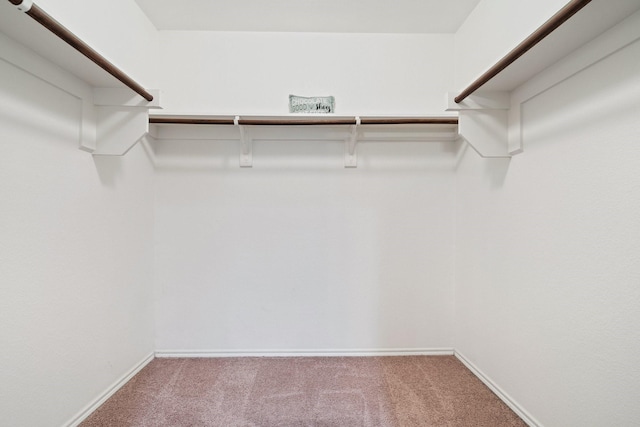 walk in closet featuring carpet floors