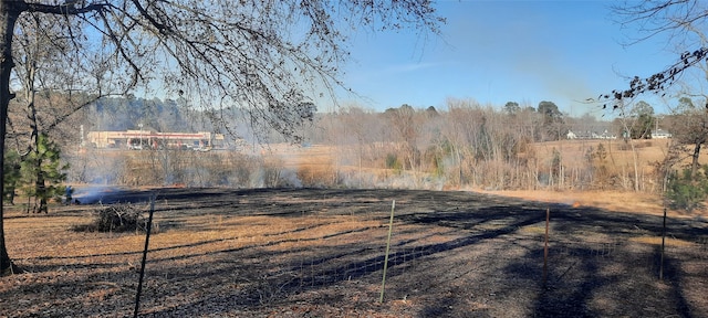 view of yard with a rural view