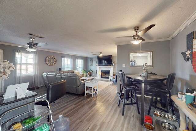 interior space featuring wood-type flooring, ornamental molding, ceiling fan, and a textured ceiling