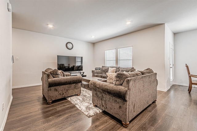 living room with dark hardwood / wood-style floors