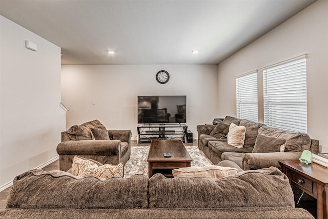 living room featuring hardwood / wood-style floors