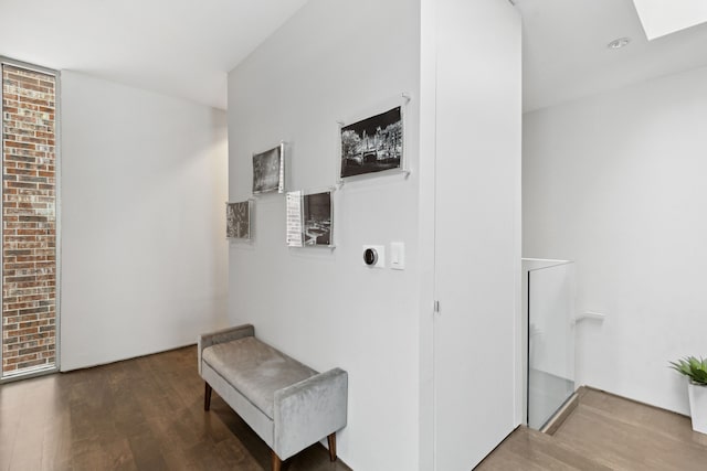 corridor with dark wood-type flooring