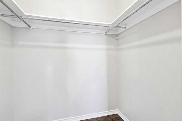 spacious closet featuring hardwood / wood-style flooring