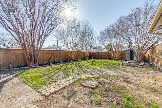 view of yard with a storage shed