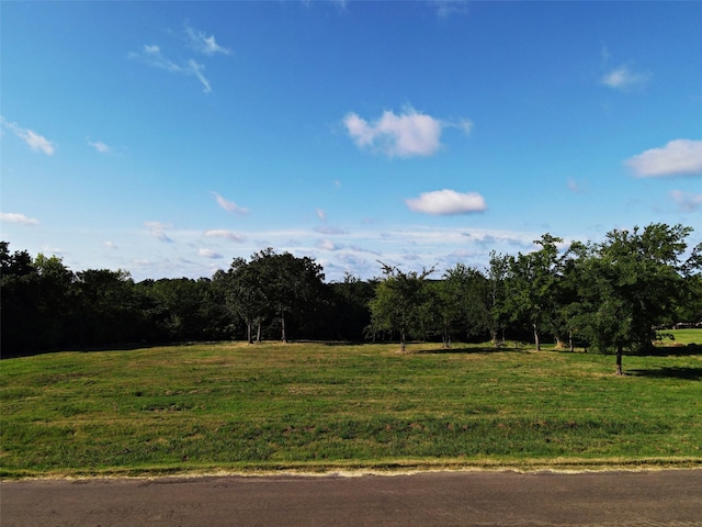 TBDLOT13 Nelson Dr, Sulphur Springs TX, 75482 land for sale