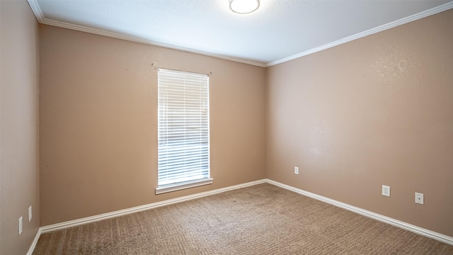 carpeted empty room with crown molding