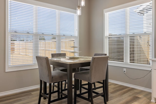 dining room featuring wood-type flooring and a wealth of natural light