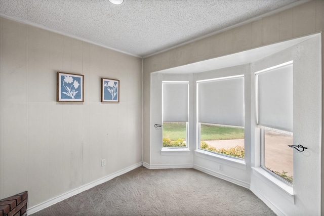 carpeted spare room with a textured ceiling