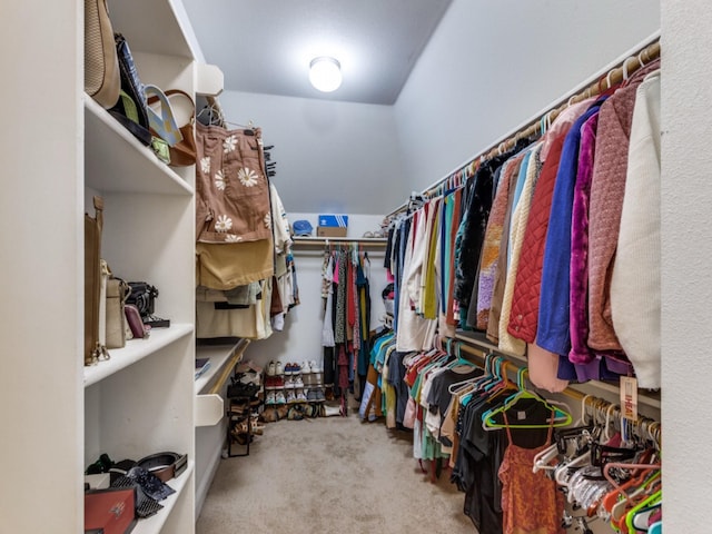 spacious closet with light carpet