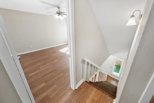 staircase featuring hardwood / wood-style flooring and ceiling fan