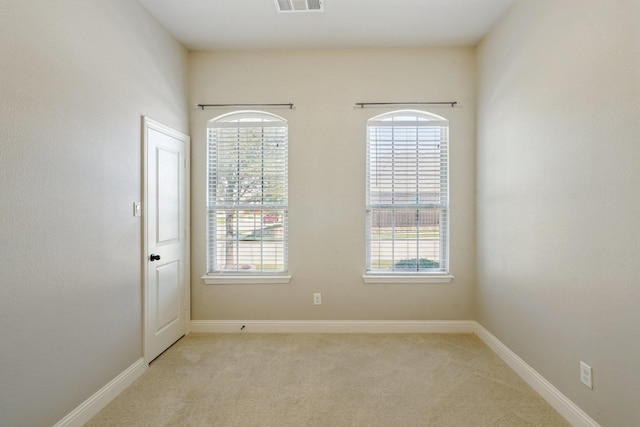 spare room featuring a wealth of natural light and light carpet