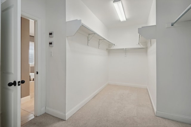 walk in closet featuring light colored carpet