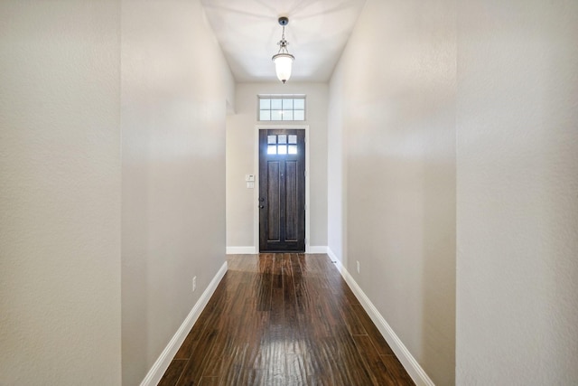 doorway to outside with dark hardwood / wood-style flooring