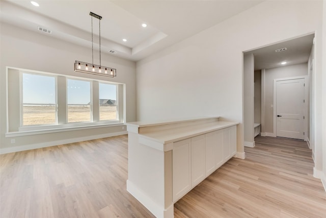 interior space with light wood-type flooring and a tray ceiling