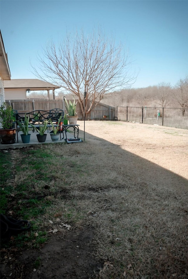 view of yard featuring a patio